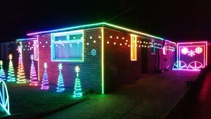 Bichington Lights 2018